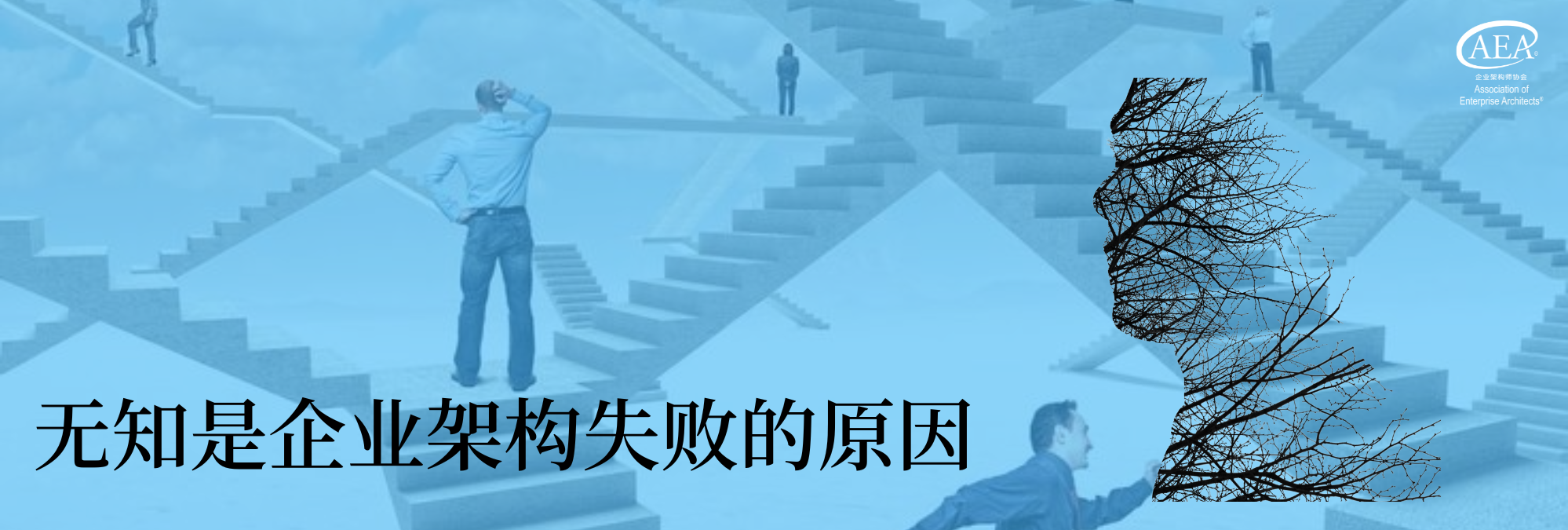 blog detail img